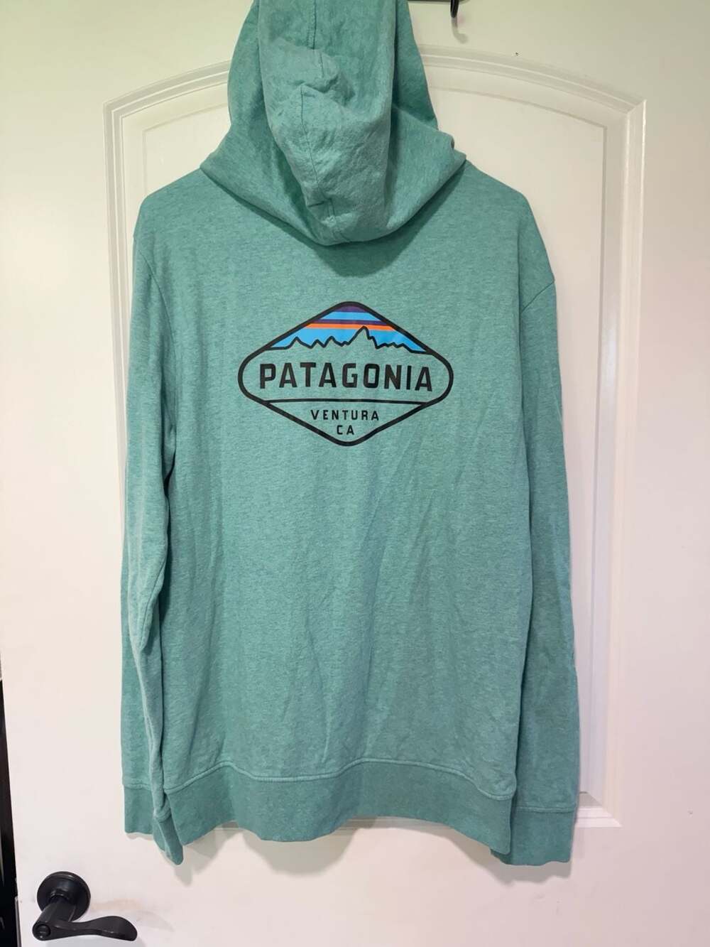 Patagonia Turquoise Full Zip Hoodie Organic Cotton Gorpcore Outdoor Size M